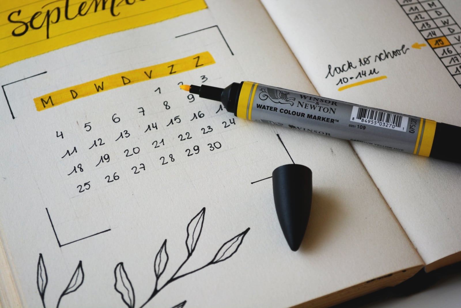 Choosing A Corporate Fiscal Year end Date In Canada Blog Avalon 